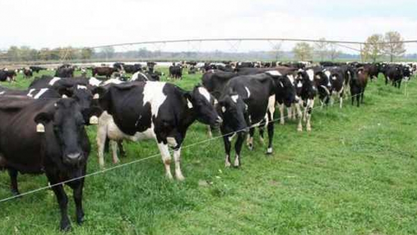 Los cambios en la gestión de las tierras agrícolas pueden aumentar las tasas de secuestro de carbono