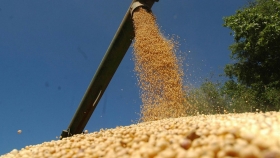 La bajante del Paraná presiona a la baja los valores FOB de maíz, soja y derivados argentinos