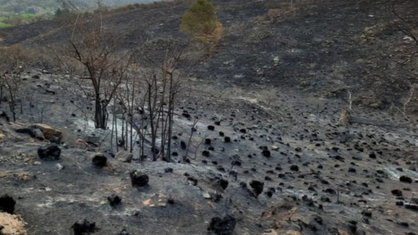 Agricultura declaró la emergencia agropecuaria en Chubut