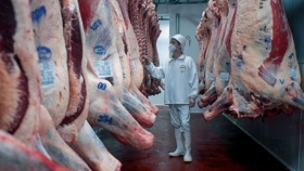 Cayeron las exportaciones de carne argentina