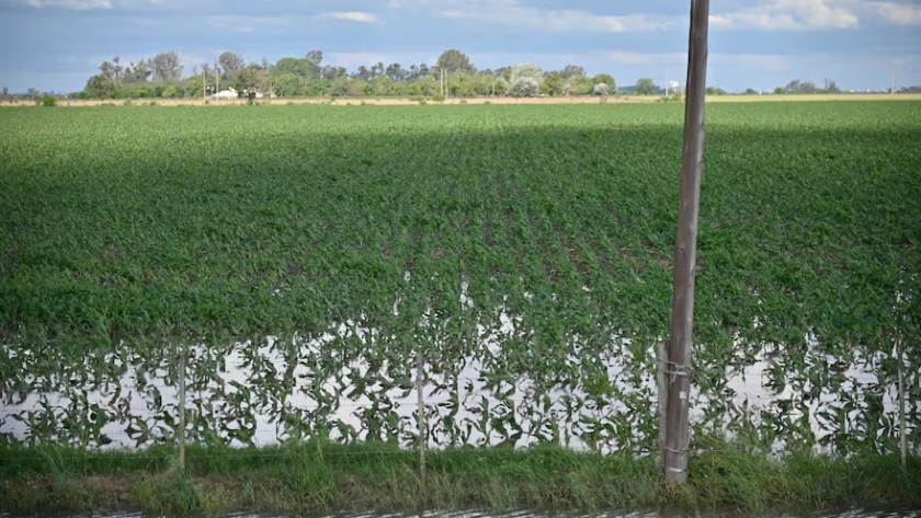 Intensas lluvias traen alivio al campo, pero generan desafíos operativos