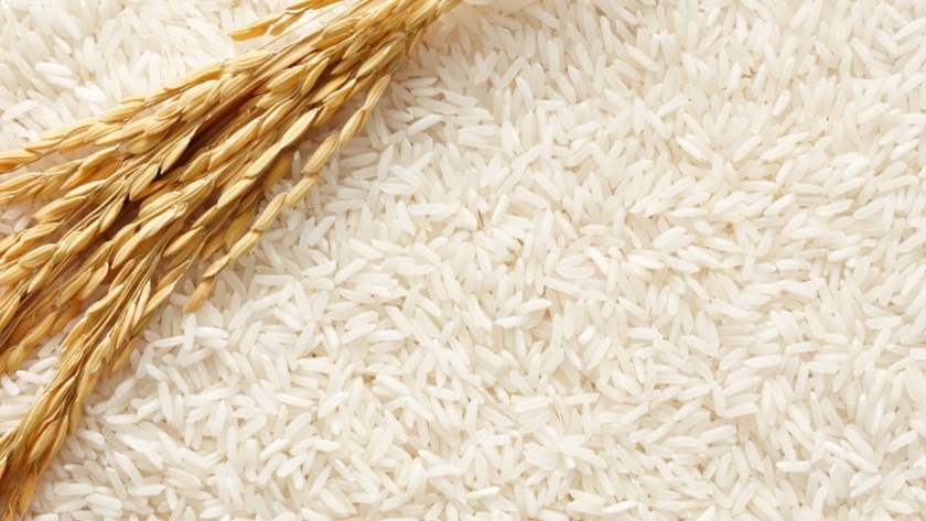 Arroz: crean una herramienta para la verificación de cultivares