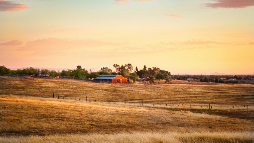 Revitalizing rural communities means supporting small farms