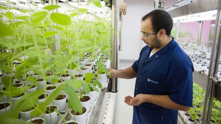 Rizobacter exportará a Australia y Kazajistán sus productos biológicos para el campo