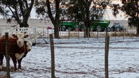 Heladas extremas en el campo: el frío golpea cultivos y preocupa al sector ganadero
