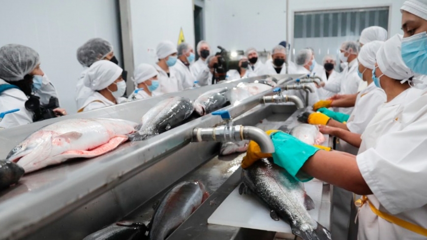 Amplían la planta de procesamiento de pescado en Piedra del Águila