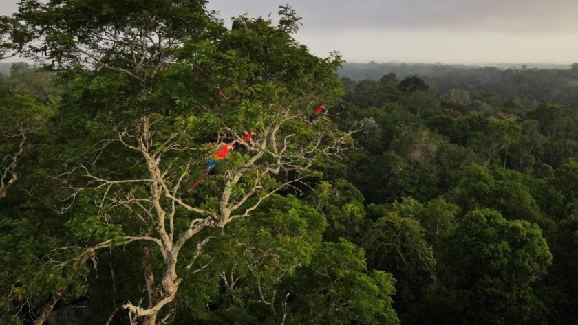 Qué es el turismo sustentable, una nueva forma de viajar y cuidar al planeta