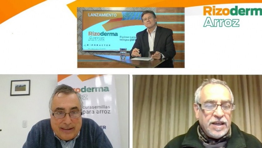 Presentaron el primer curasemilla biológico para arroz