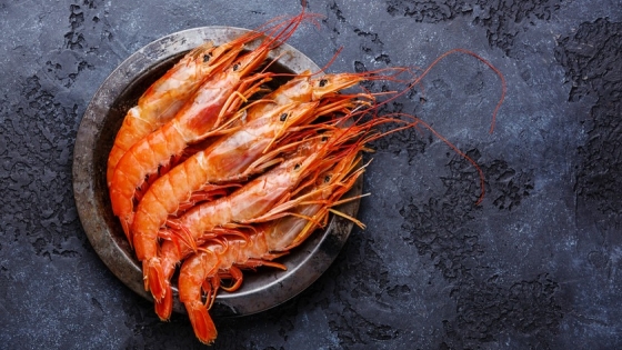 Chubut revisa Plan de Acción del langostino costero y alcanza récord histórico de desembarques