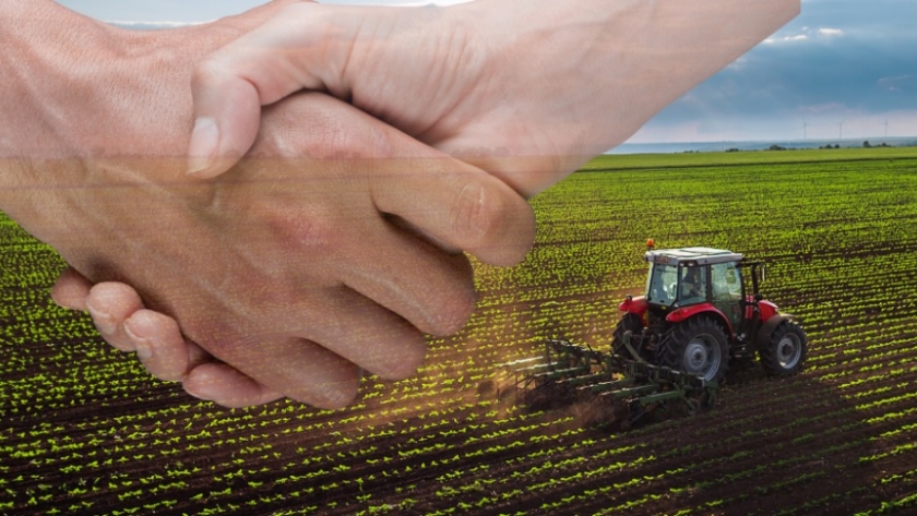Ganarle a la incertidumbre: ¿Qué hacer para que el capital de trabajo en el campo salga ganando?