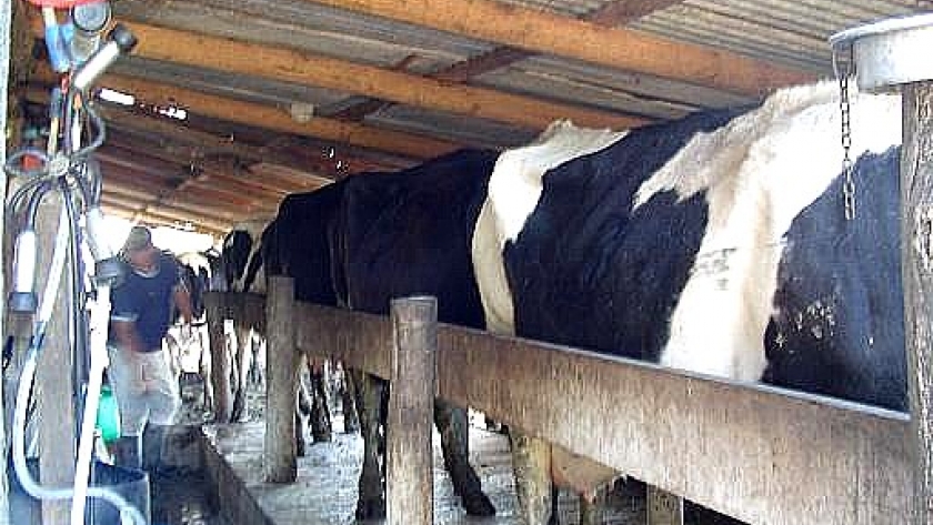 Entre Ríos habilita líneas de crédito para productores