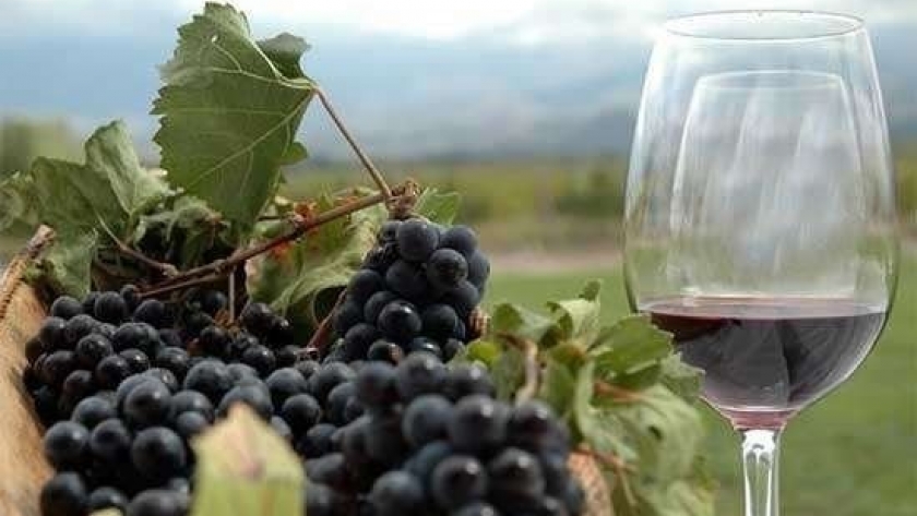 Neuquén participa de las Jornadas Nacionales de Turismo del Vino en San Juan