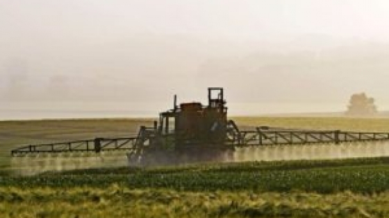 Cebada: monitorean enfermedades para prevenir pérdidas productivas