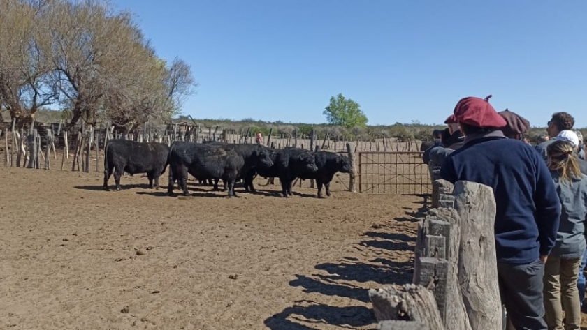 Mendoza fue sede de una importante jornada de precisión ganadera en General Alvear