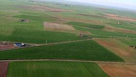Exportación 2021: la región pampeana es la gran ganadora gracias a los complejos de base agrícola