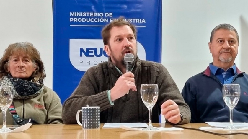 Incentivo Ganadero: presentaron las líneas compensatorias del nuevo período