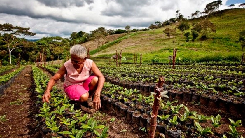 Se necesita asistencia alimentaria urgente en el Corredor seco