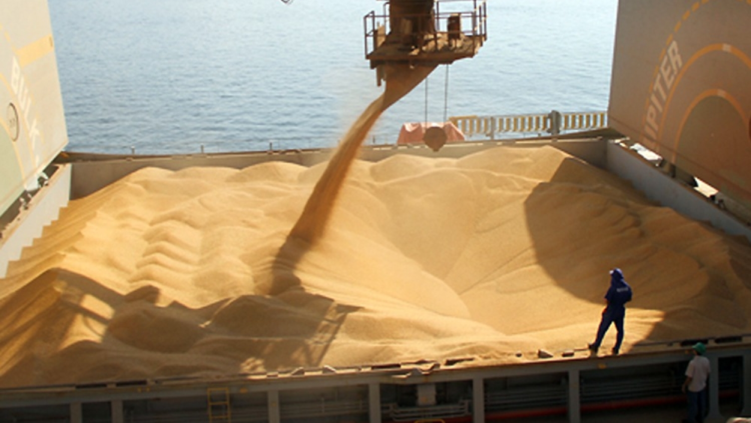 Argentina refuerza controles fitosanitarios para consolidar su perfil exportador de granos