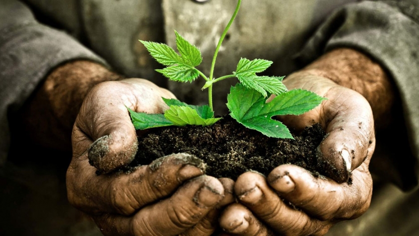 BPA: reunión interinstitucional para evaluar el avance de su implementación en el sector frutihortícola