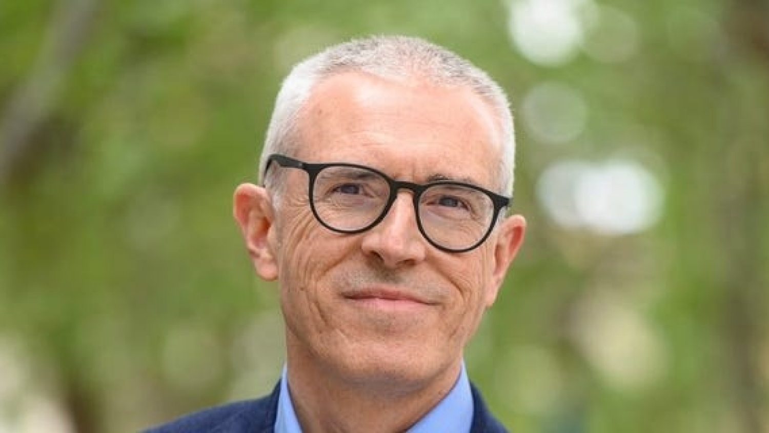 Aceite de oliva: por qué lo llaman “oro verde” y fuente de juventud