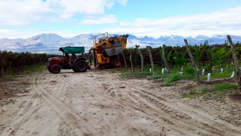 La Secretaría de Trabajo fiscalizó bodegas en los Valles Calchaquíes