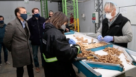 De Neuquén a Nápoles: productores exportaron 20 toneladas de nueces a Italia