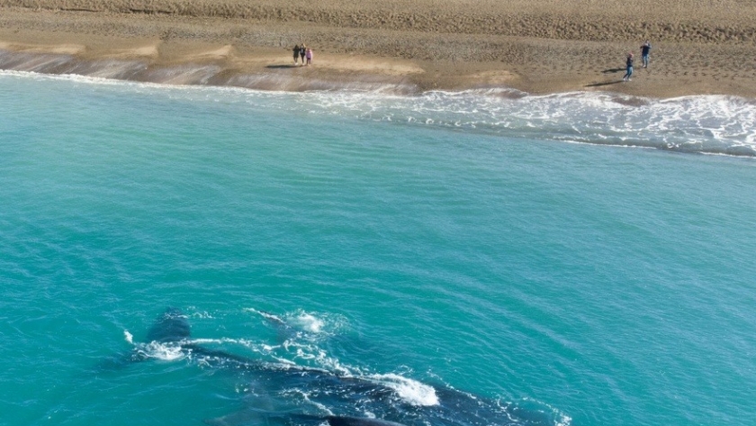 La joya oculta de la Patagonia: la playa argentina con aguas cristalinas que deslumbra a Sudamérica