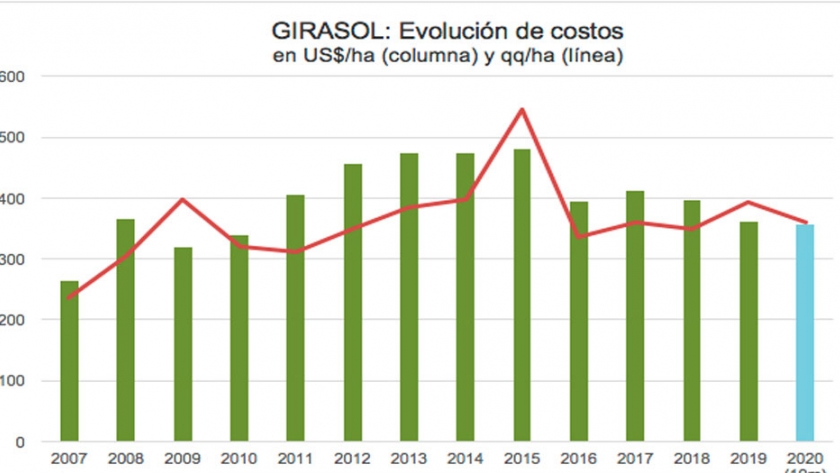 Evolución de costos en Girasol