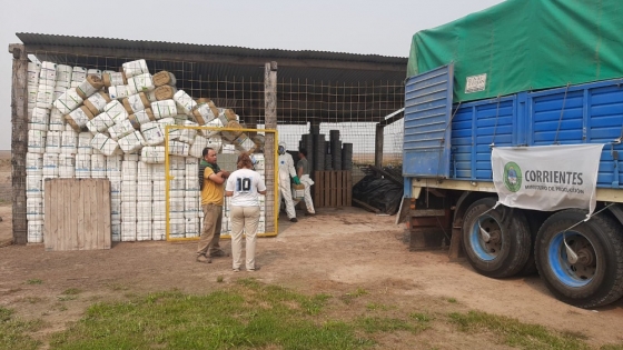 Corrientes logró un récord en la gestión ambiental y recuperó casi 95 mil kilos de plásticos en 2025