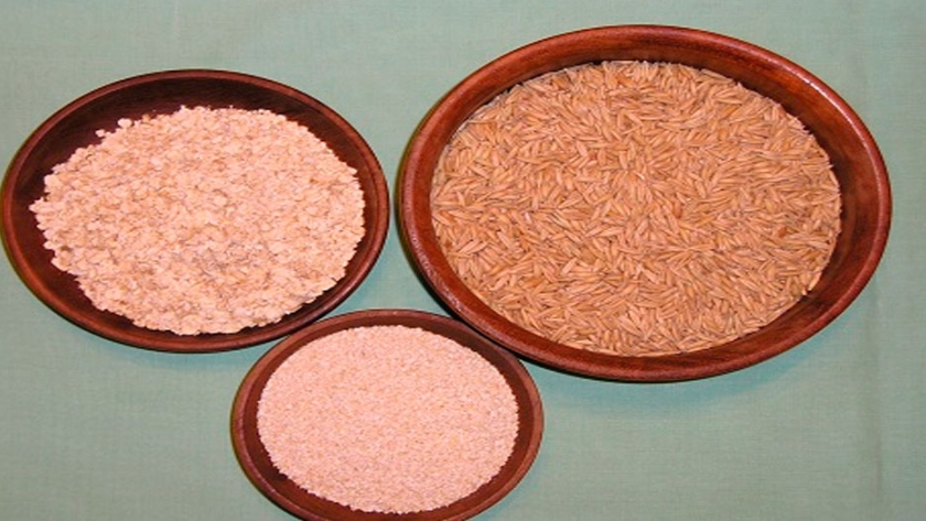 Ventajas de producir avena para consumo humano