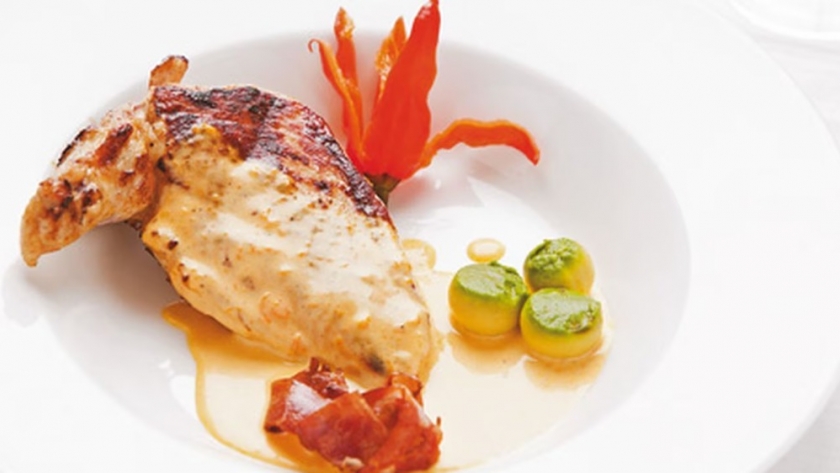 Aprobación final del USDA para pollo cultivado en laboratorio