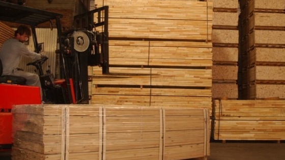 La madera aserrada gana terreno en las exportaciones argentinas y supera los USD 100 millones