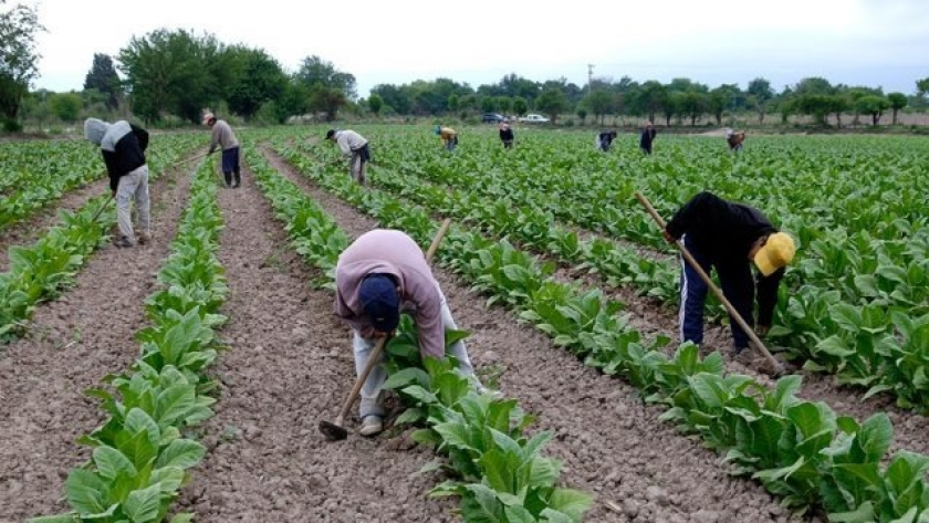 Jujuy define estrategias para asegurar agua de riego