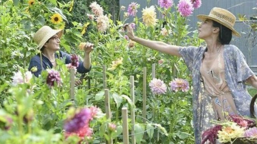 Jardinería: 5 tareas fundamentales que tenés que hacer antes que termine el verano
