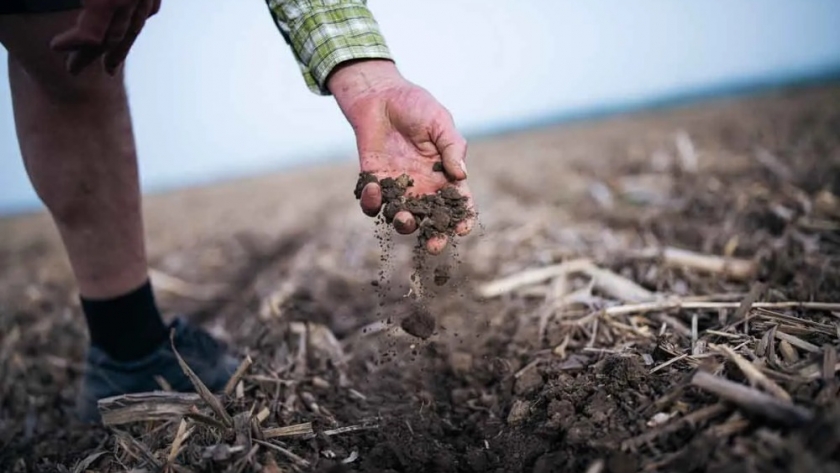 La UE avanza en la  implementación del pago a agricultores que capturen Carbono