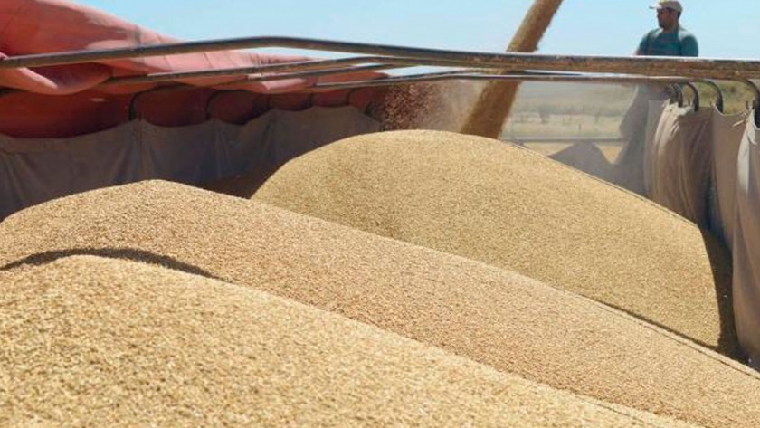 Devolución de retenciones: productores de Córdoba recibirán entre $ 441 y $ 1.543 por hectárea