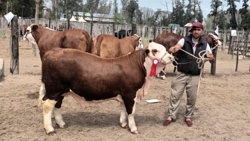 Kayne obtuvo tres nuevos reconocimientos en ExpoBra 2023