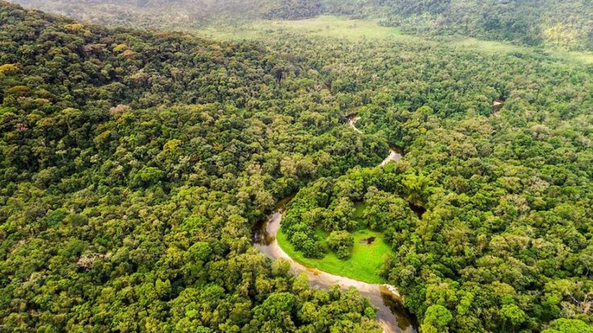 Brasil buscará frenar el aumento de la deforestación este año