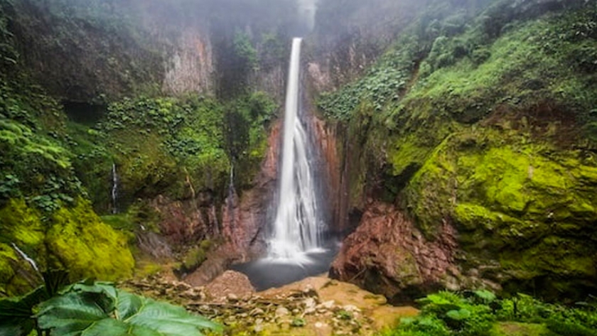 Costa Rica lanza estrategia de bioeconomía para mejorar sistemas productivos