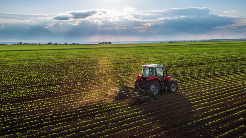 El sector de la maquinaria agrícola en Francia se prepara para sustituir al glifosato en el control de malas hierbas