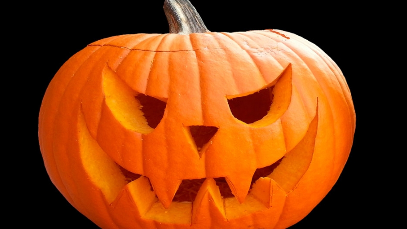 España lidera la producción europea de calabaza