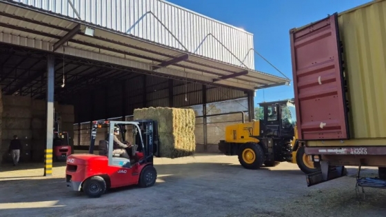 Inversión en alfalfa: CADAF amplía su planta y apunta a duplicar exportaciones desde Córdoba