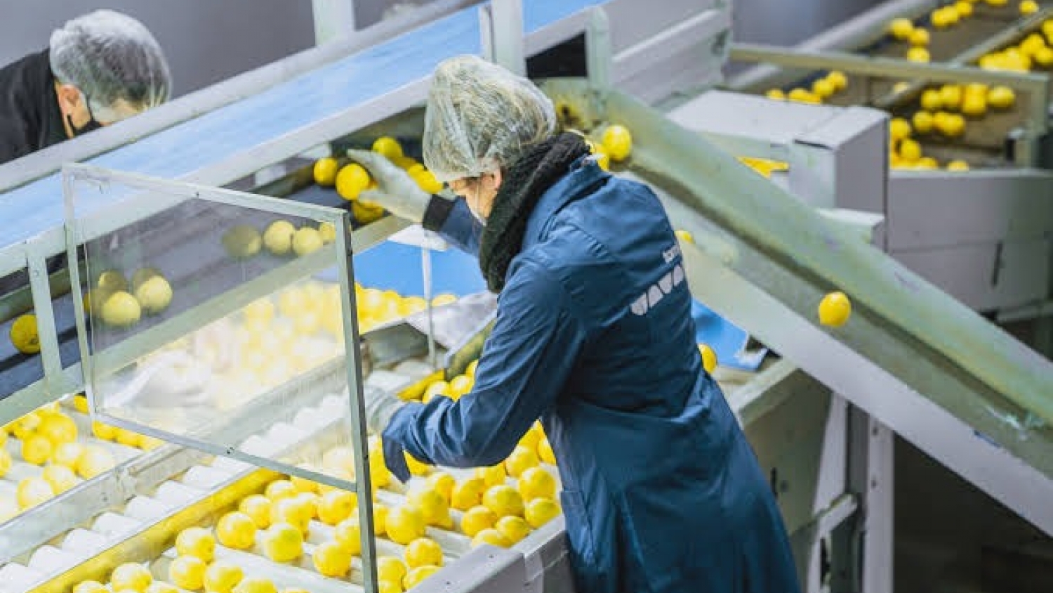 Qué cambia en la inscripción de establecimientos de frutas y hortalizas