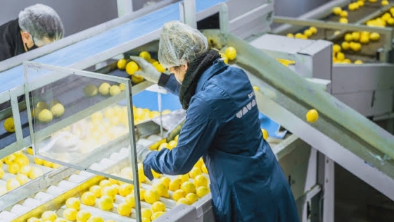 Qué cambia en la inscripción de establecimientos de frutas y hortalizas