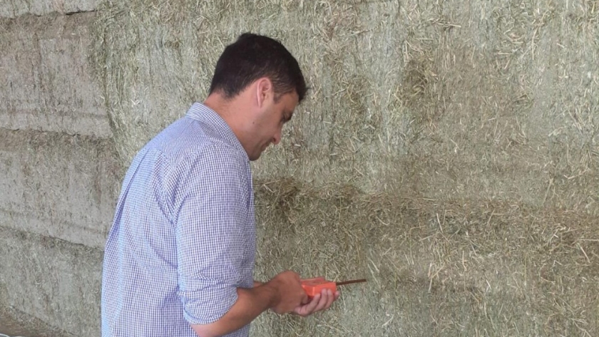Se certificó en San Luis la exportación de 495 tn de alfalfa con destino a Arabia Saudita