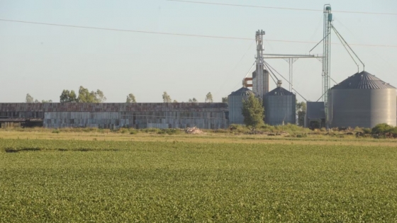 Exportaciones: el agro explica seis de cada diez dólares que vende Argentina al mundo y domina el comercio exterior en la mayoría de las provincias