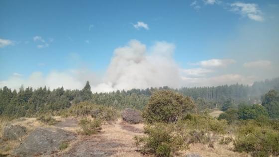 El Gobierno Provincial continúa con un amplio operativo para controlar el incendio en la zona de Los Cipreses