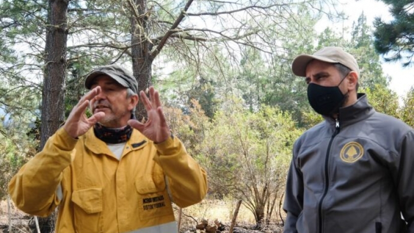Incendios: positivo control de los focos ígneos frente al Gran Rosario
