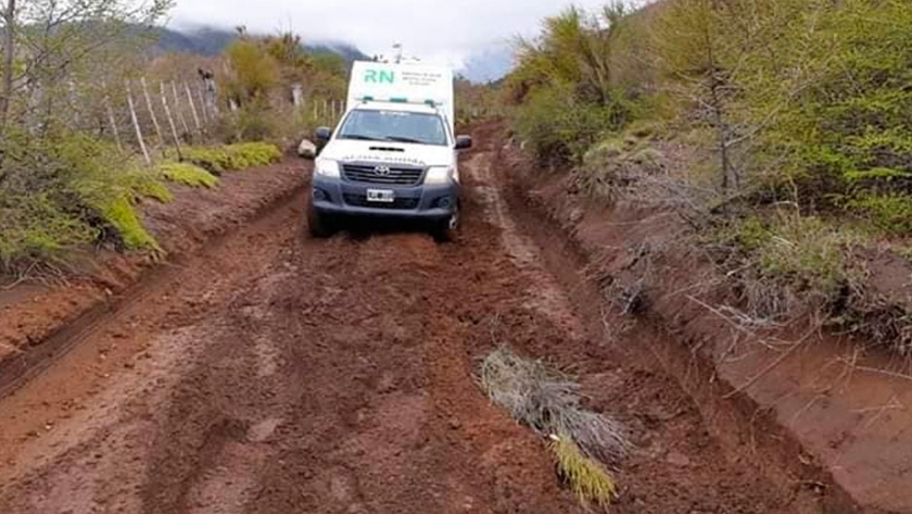 Así viven una salida rural estos trabajadores de Salud de El Bolsón