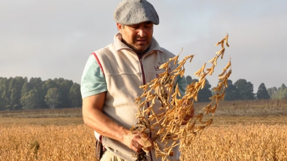 La pérdida del poder adquisitivo en el campo